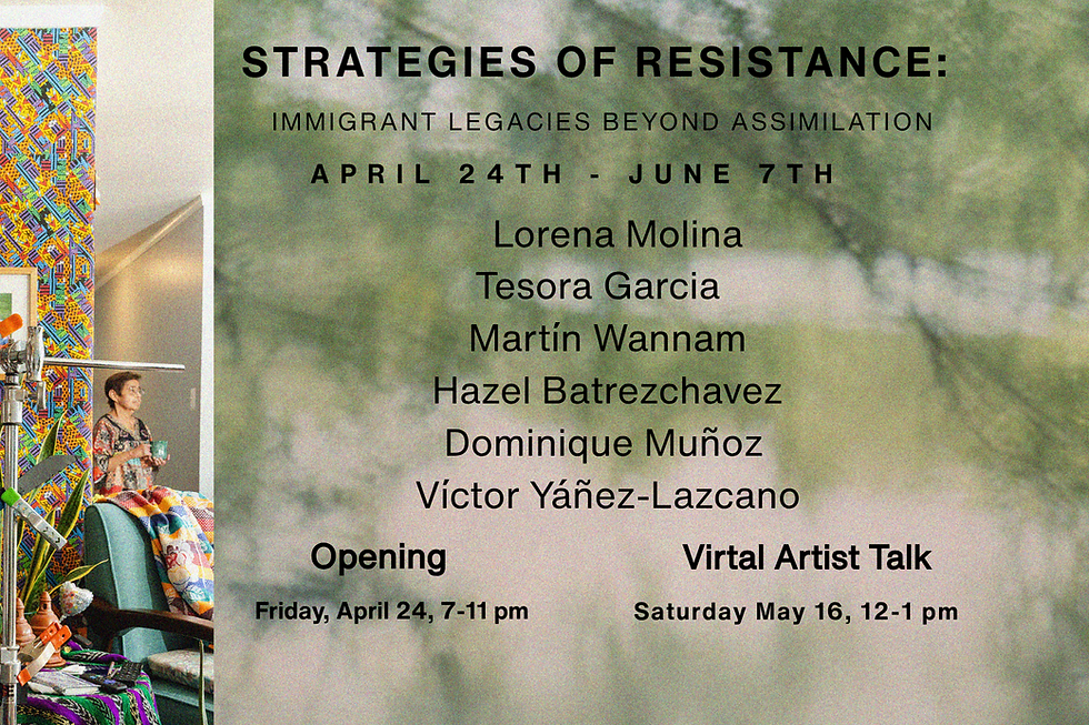 Strategies of Resistance: Immigrant Legacies Beyond Assimilation
