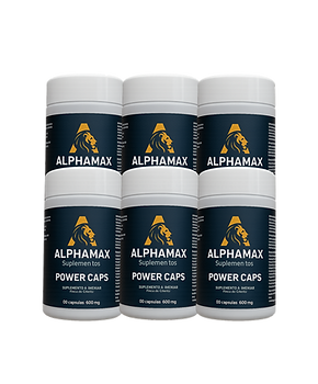 kit6.png