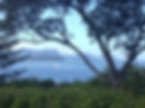 Onerahi bay.jpg