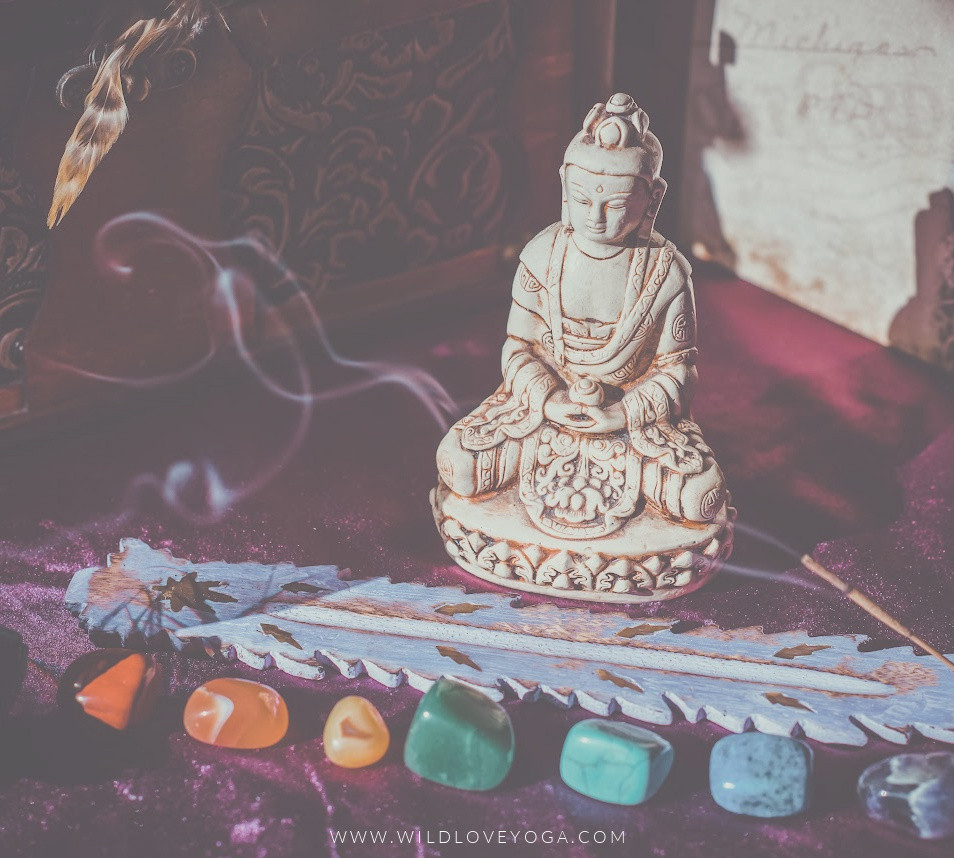 wildlove yoga