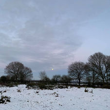 Full Moon in Cancer Shines its Last Light in 2020