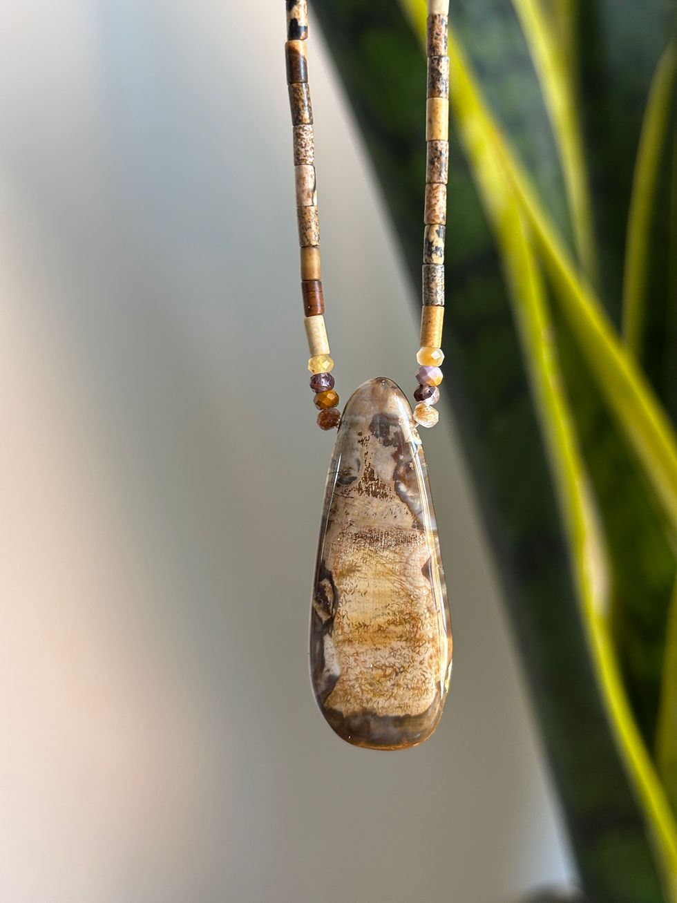 Thumbnail: Petrified Wood & Picture Jasper Necklace 