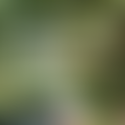 Pratyahara - Withdrawal of senses