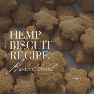 Chocolate Chip Hemp Biscuit Recipe