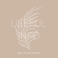 Yoga/Pilates Ball Information