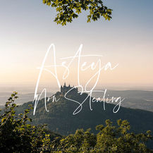 Asteya - Non Stealing
