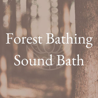 Forest Sound Baths