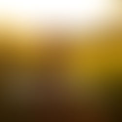 Your Body, Your Yoga - Class Styles