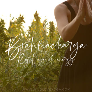 Brahmacharya - Energy With Intention