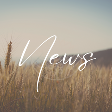 January News!