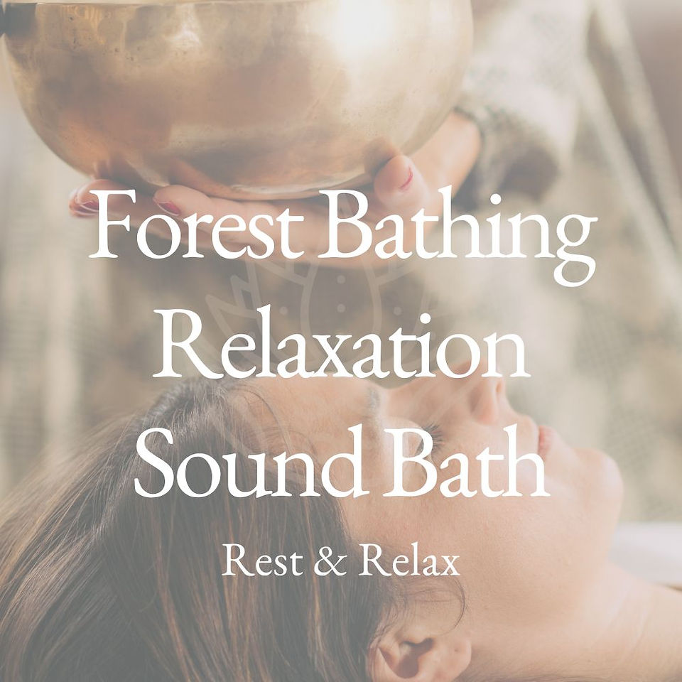 Forest Bathing