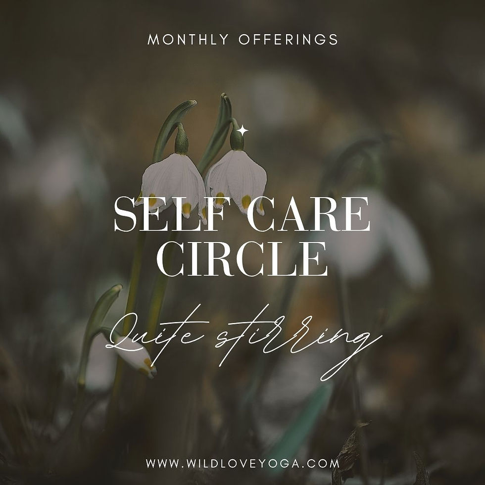 Self Care Circle - Quiet Stirring