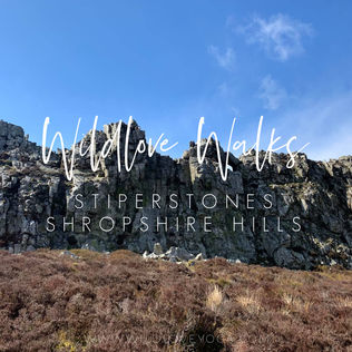 Wildlove Walks - Stiper Stones