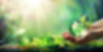 Hands Holding Globe Glass In Green Forest - Environment Concept - Usa elements of this ima