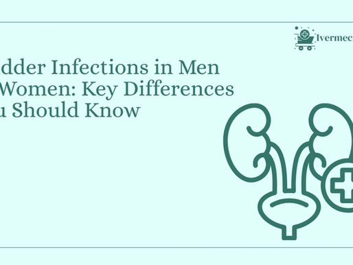 Bladder Infections in Men vs Women: Key Differences You Should Know | Ivermectinkart