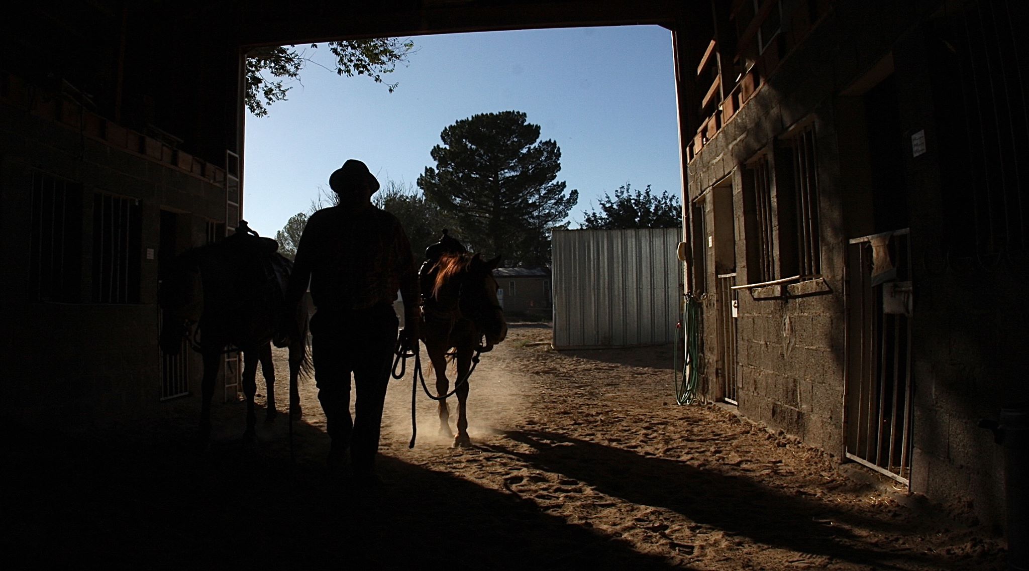 El Paso Trail Rides