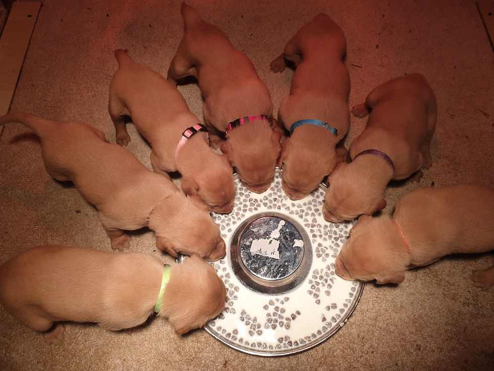 f30623b8-1019-444a-88c4-3032a26c349e