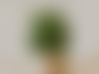 Best Greenery Finds for Your STR