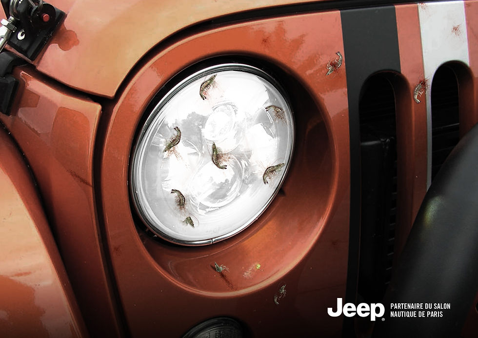 Presse salon nautique