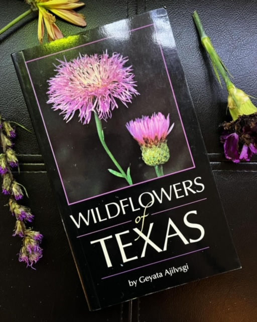 Wildflowers of Texas