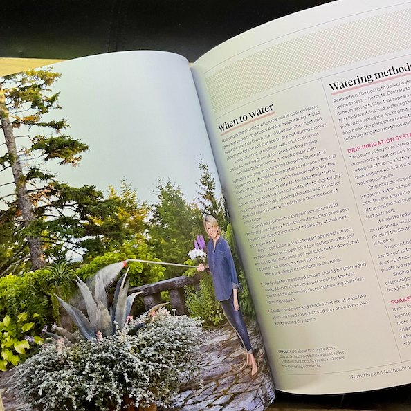 Thumbnail: Martha Stewart's Gardening Handbook