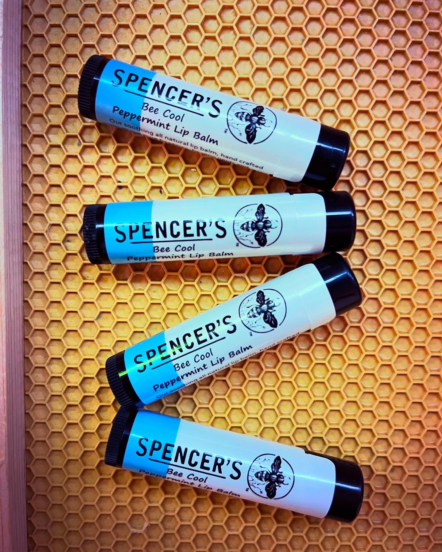 Spencer's Peppermint Lip Balm