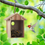 Thumbnail: Arkearth See-through Birdhouse