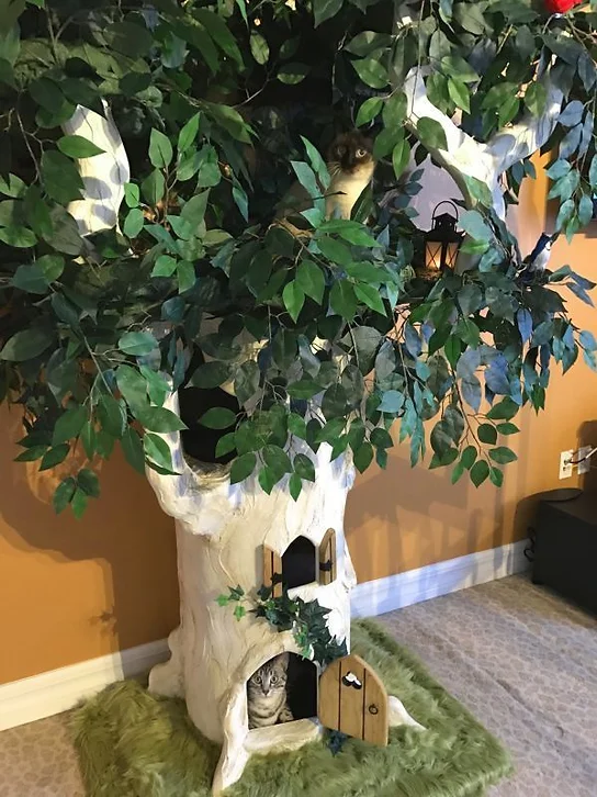 Fantasy Cat Trees That Look Like Real Trees