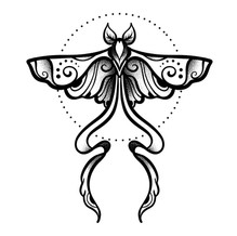 moth ink tattoo