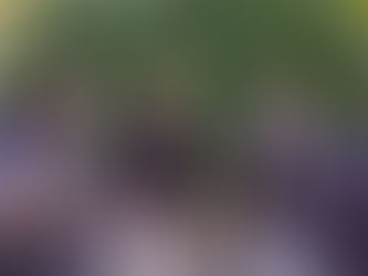 College Campus Recap