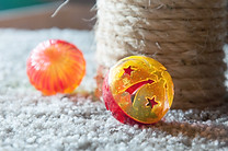 cat toys
