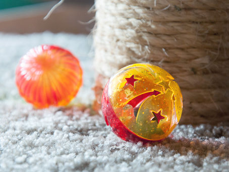 Spielen mit Katzen – warum es mehr ist als nur Spaß