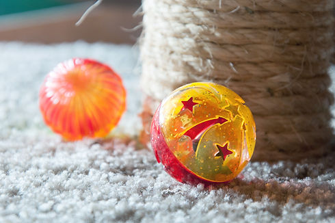 cat toys