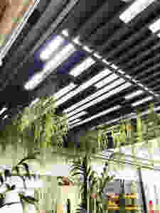 Design Biofilico
