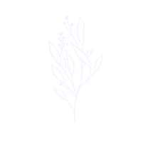 decretive flowers