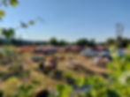 20220812_175343.jpg