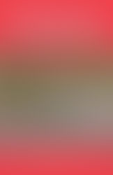 MTUK Rockclimbing (3rd Edition) by Libby Peters Review