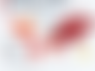 German Policies on Migrants After Debate on Potential Abuse