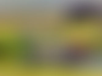 Using Deep Learning Models to Save Earth's Biodiversity