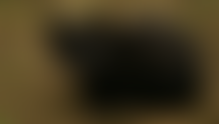 Cidade catarinense que recebeu gato-do-mato melânico guarda outros registros surpreendentes