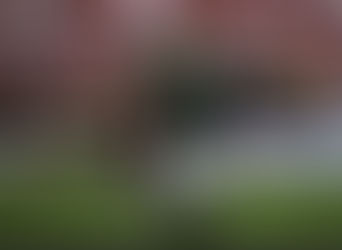 Palmeiras conta com Raphael Veiga e alterações na defesa para enfrentar o Vasco; confira as escalações