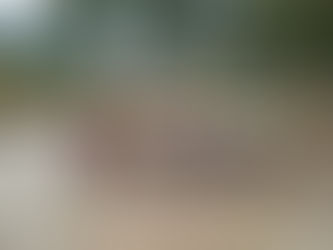 Mengapa Agrowisata Adalah Pengalaman Terbaik untuk Siswa SD