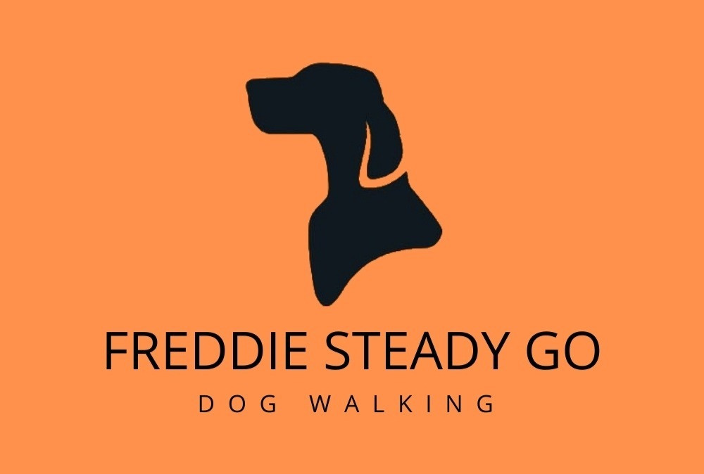 Dog Walker Freddie Steady Go Dunfermline