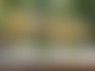 Elevate Your Wedding Aesthetics with Fresh Florals (Without Breaking the Bank)