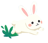 pic_rabbit_2x_edited.png