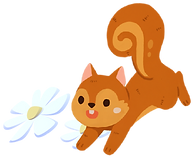 pic_squirrel__2x_edited.png