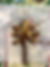 STAR.jpeg