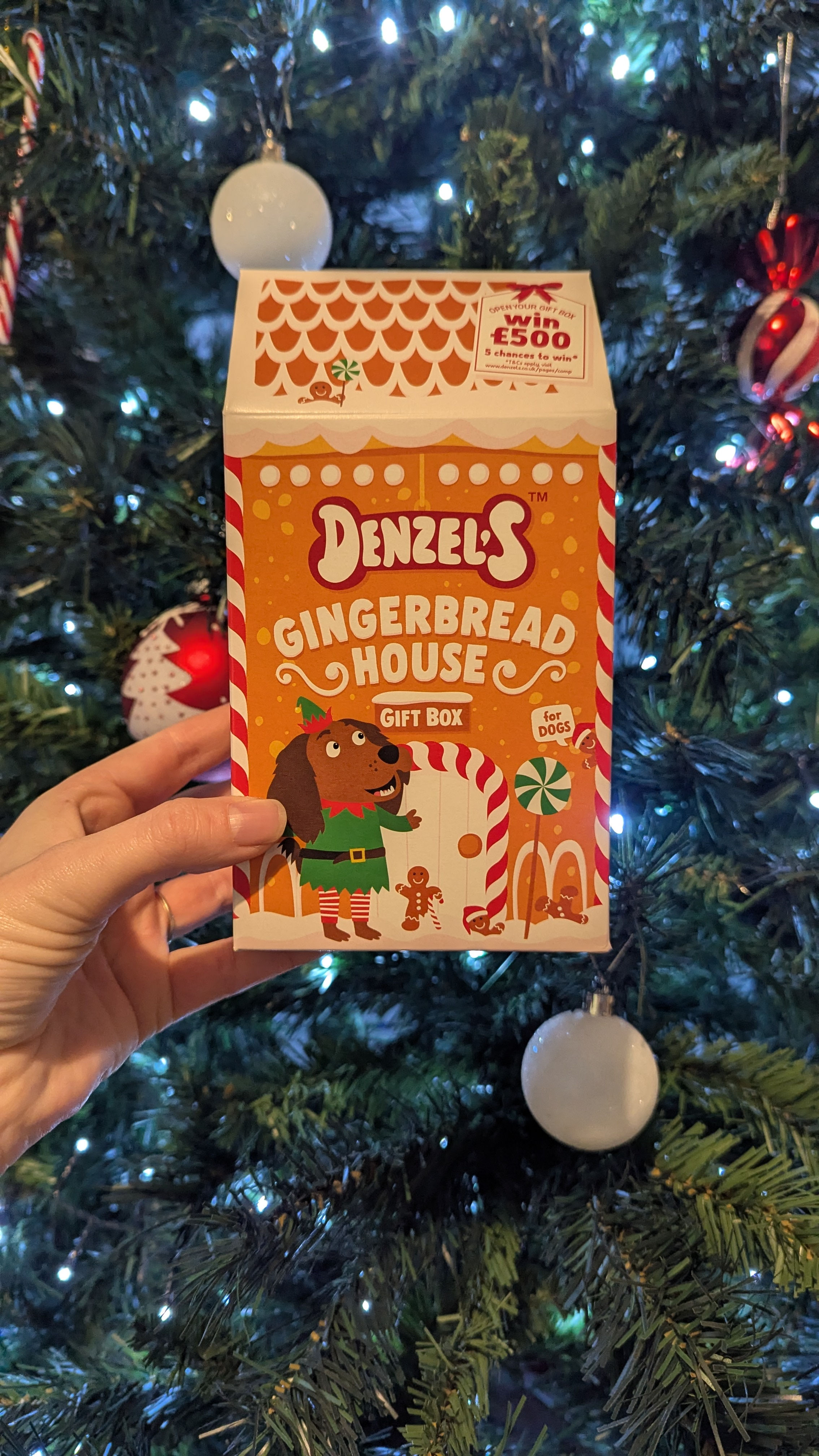 Gingerbread Gift Box