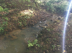 Rio com água limpa