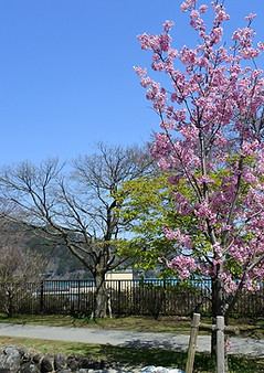 b0005.jpg